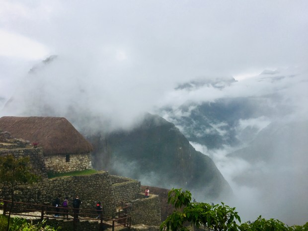 0306C423-F131-43C7-8B46-594B8BF8972E