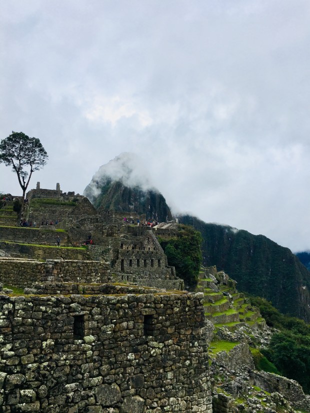 0AB45F57-AB4F-4B4D-A785-1D1935DB1E29