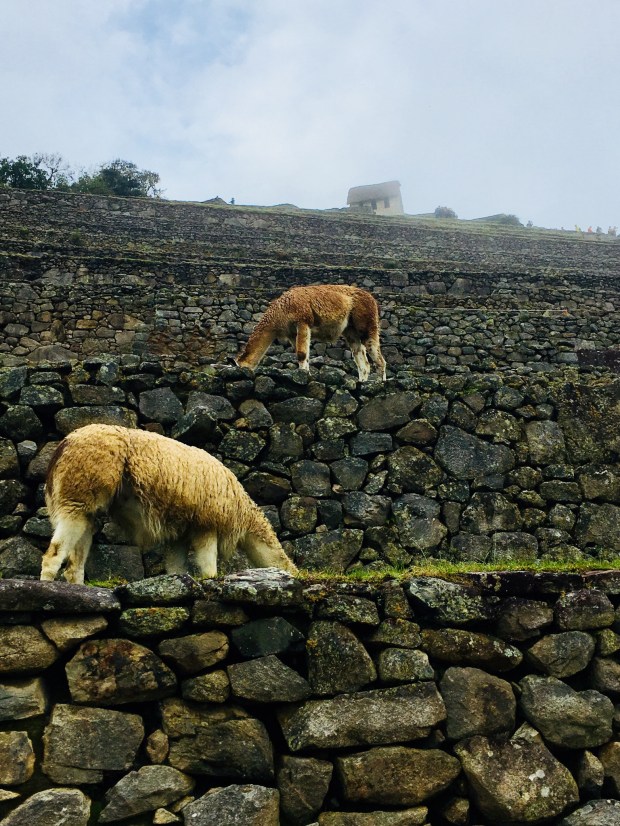 1687C3BB-8649-4C61-93F0-E682F470C4A6