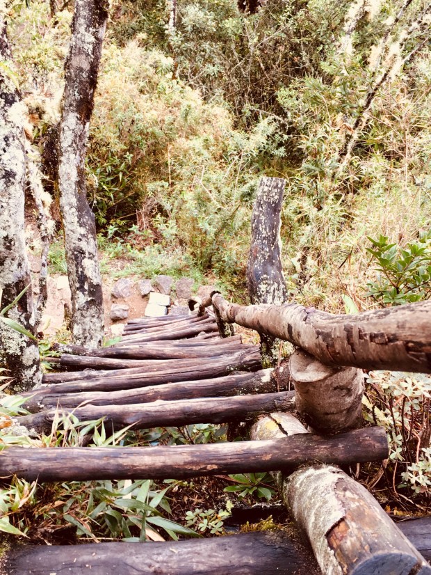 16A5A04A-6ABB-46AF-B509-22647768CE72