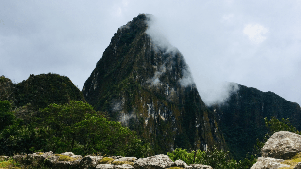 16E08019-4B0E-4B9B-A522-DAE21F22395F