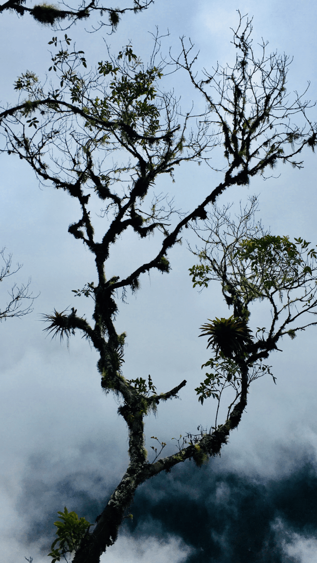 1AE752D6-9E5C-474D-AC4C-56B15E87B35D