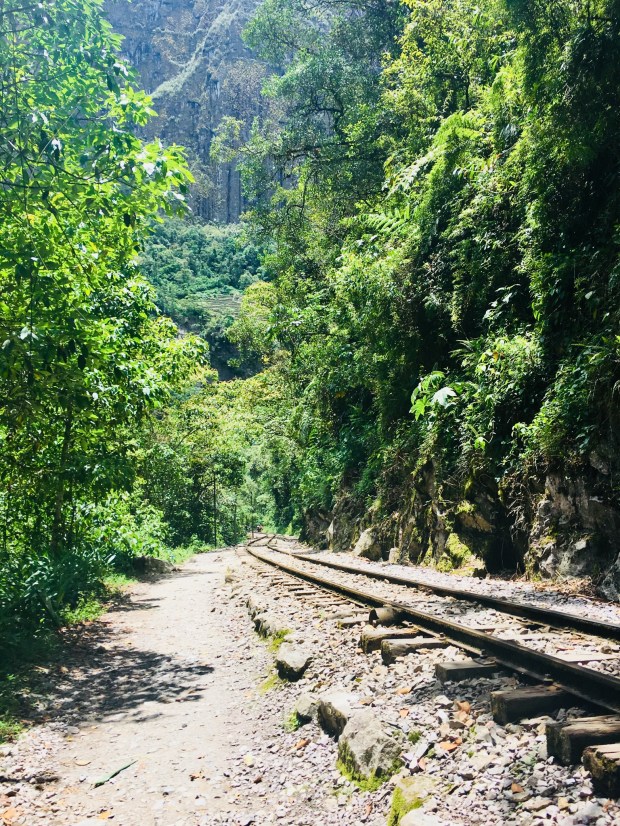 2150A05E-7626-4376-A163-E631B9D922E8