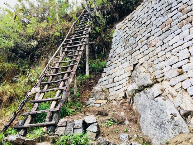 2831E0E5-0F07-4C29-8142-86194199FB1A