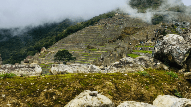 29A8DBA5-5324-4C1D-A5D8-C794204FFAA8