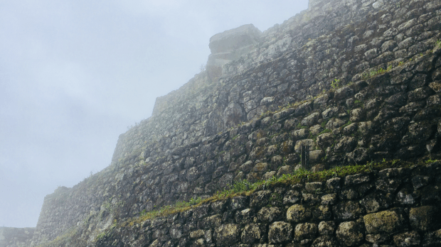 37D86991-A395-4837-AD81-E6B3CD87E64F