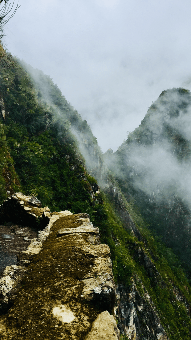 40B30DE5-0A8A-4C9D-BF72-21ED58387A8C