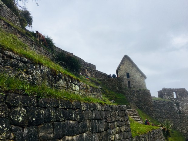 4136902B-8308-492B-B103-7140A4258C34