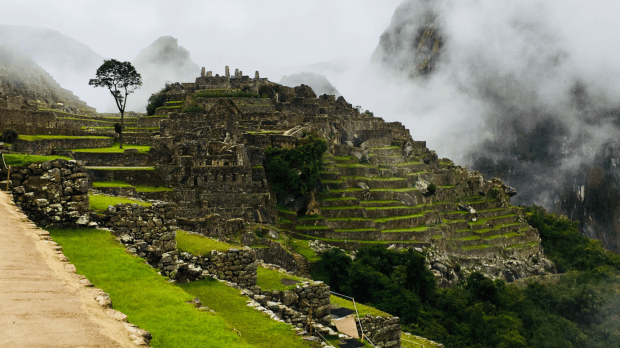 423C3923-A8A9-4AEF-9331-6A992AD9F74F