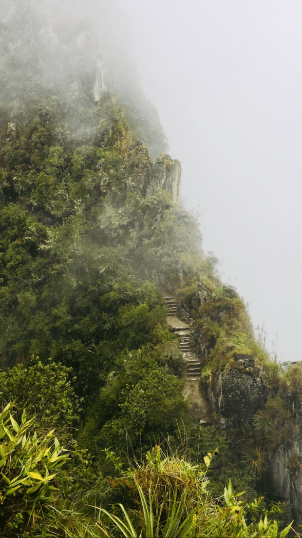 45CE1F9A-69CB-4FD4-A2DC-B8C85A35050E