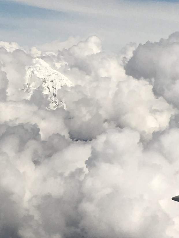 8B2760BF-F1FF-4F79-9BC4-C917CF74B0F9