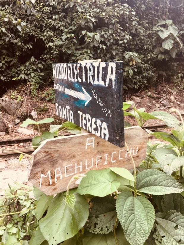 8CBC120B-00CB-45D4-B2EB-75FA5C4845C2