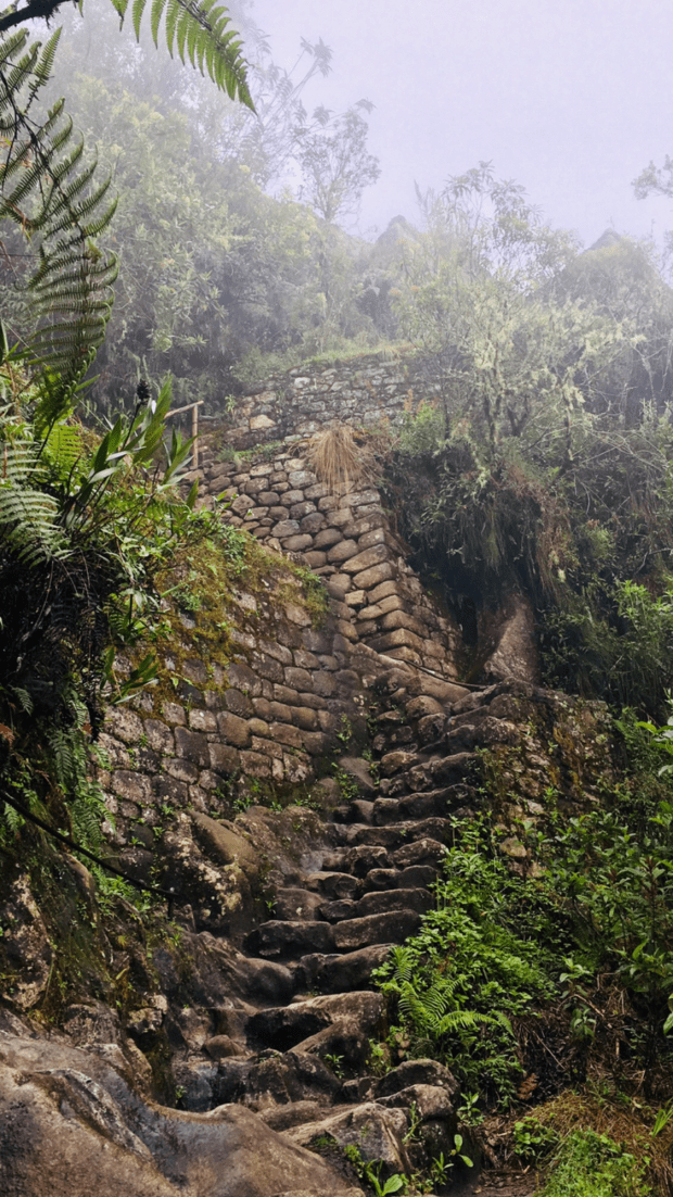 8D46226A-A4F5-4217-A87F-6CD73C6A11CD