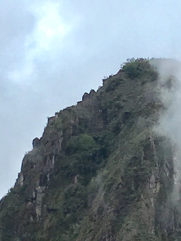 A6173B0A-B08B-483E-80EF-AE030ACEAE6A