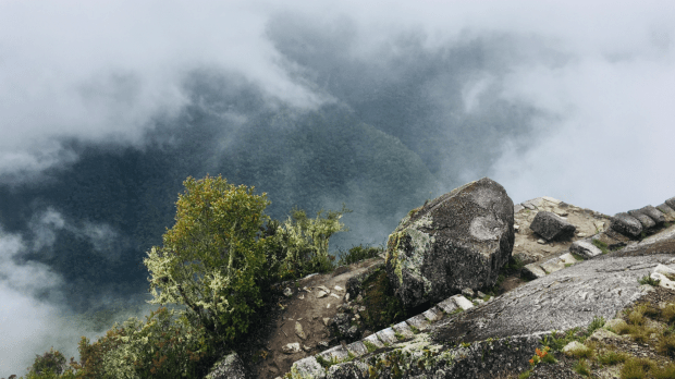 B9EE3DCA-AE34-4B7A-8E93-B98059241692