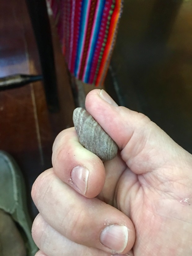 E40840E8-83E9-4BAB-B010-B72D3911BA5E