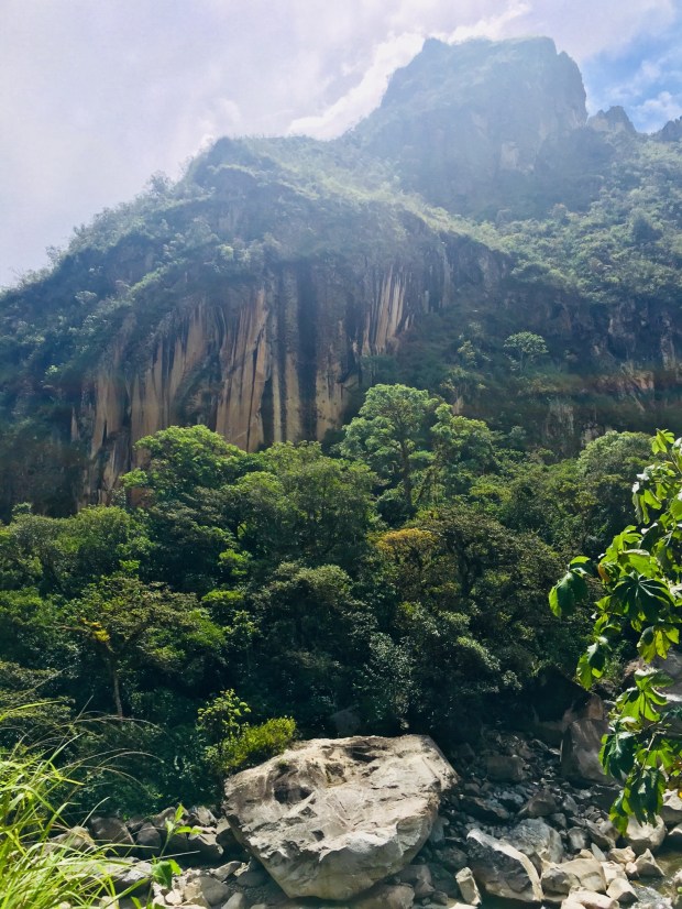 E9DE8D93-F5FA-4826-84A2-E8B1DA7A62E9