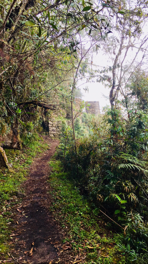 ED1F3A27-F524-4E4A-8B40-A4D184E90621