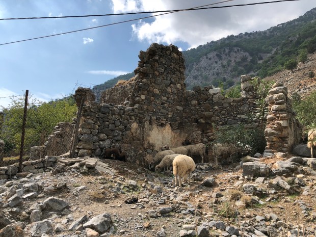 8tun4IJCTZO4WCOrexHkSA